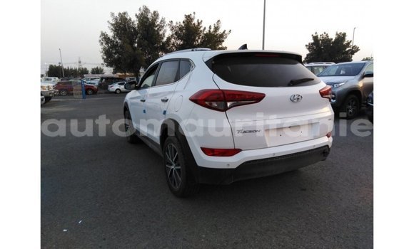 Acheter Import Voiture Hyundai Tucson Blanc à Import - Dubai, Adrar Acheter Import Voiture Hyundai Tucson Blanc à Import - Dubai, Adrar