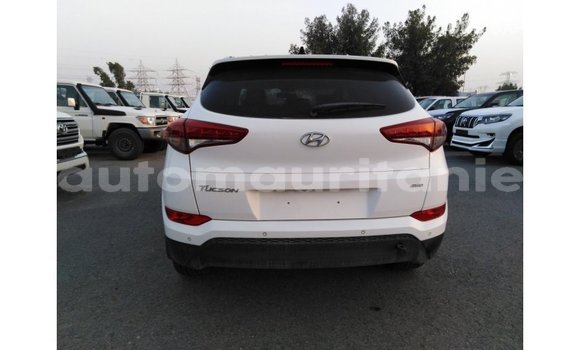 Acheter Import Voiture Hyundai Tucson Blanc à Import - Dubai, Adrar Acheter Import Voiture Hyundai Tucson Blanc à Import - Dubai, Adrar
