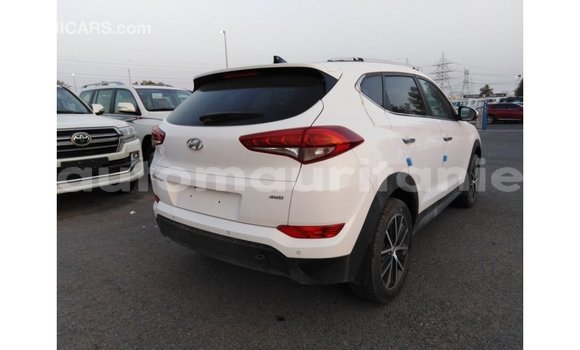 Acheter Import Voiture Hyundai Tucson Blanc à Import - Dubai, Adrar Acheter Import Voiture Hyundai Tucson Blanc à Import - Dubai, Adrar