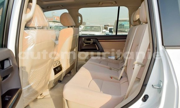 Acheter Import Voiture Toyota Land Cruiser Blanc à Import - Dubai, Adrar Acheter Import Voiture Toyota Land Cruiser Blanc à Import - Dubai, Adrar