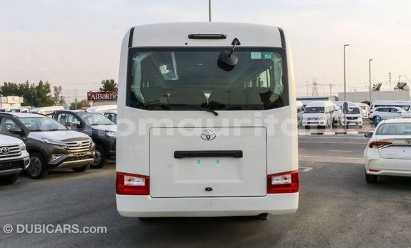 Acheter Import Voiture Toyota Coaster Blanc à Import - Dubai, Adrar Acheter Import Voiture Toyota Coaster Blanc à Import - Dubai, Adrar