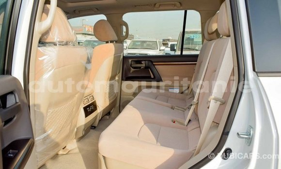 Acheter Import Voiture Toyota Land Cruiser Blanc à Import - Dubai, Adrar Acheter Import Voiture Toyota Land Cruiser Blanc à Import - Dubai, Adrar