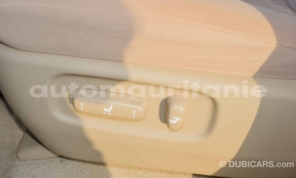Acheter Import Voiture Toyota Land Cruiser Blanc à Import - Dubai, Adrar Acheter Import Voiture Toyota Land Cruiser Blanc à Import - Dubai, Adrar
