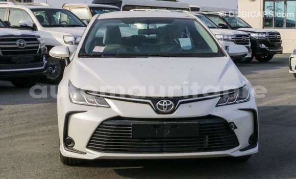 Acheter Import Voiture Toyota Corolla Blanc à Import - Dubai, Adrar Acheter Import Voiture Toyota Corolla Blanc à Import - Dubai, Adrar