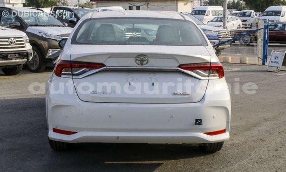 Acheter Import Voiture Toyota Corolla Blanc à Import - Dubai, Adrar Acheter Import Voiture Toyota Corolla Blanc à Import - Dubai, Adrar