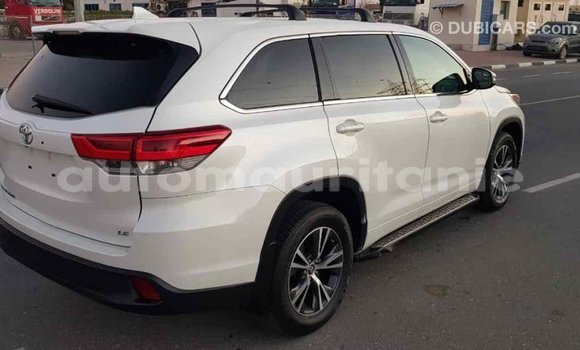 Acheter Import Voiture Toyota Highlander Blanc à Import - Dubai, Adrar Acheter Import Voiture Toyota Highlander Blanc à Import - Dubai, Adrar