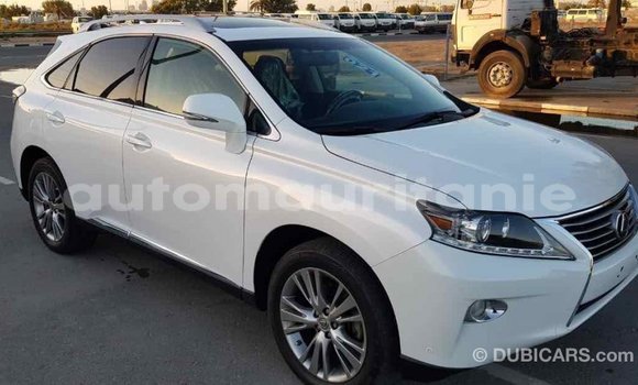 Acheter Import Voiture Lexus RX 350 Blanc à Import - Dubai, Adrar Acheter Import Voiture Lexus RX 350 Blanc à Import - Dubai, Adrar