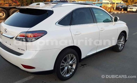 Acheter Import Voiture Lexus RX 350 Blanc à Import - Dubai, Adrar Acheter Import Voiture Lexus RX 350 Blanc à Import - Dubai, Adrar