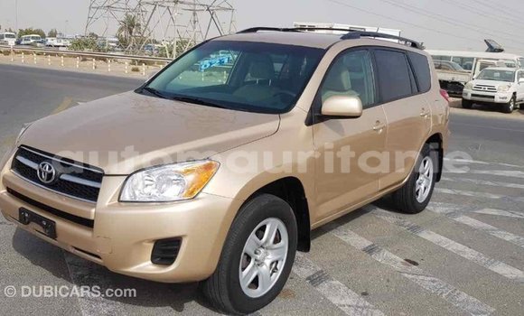 Buy Import Toyota RAV4 Other Car in Import - Dubai in Adrar Buy Import Toyota RAV4 Other Car in Import - Dubai in Adrar