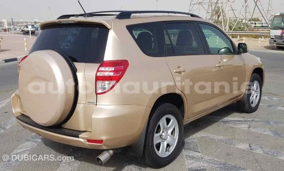 Buy Import Toyota RAV4 Other Car in Import - Dubai in Adrar Buy Import Toyota RAV4 Other Car in Import - Dubai in Adrar