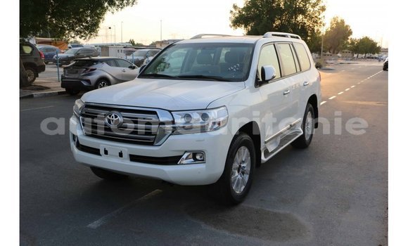 Buy Import Toyota Land Cruiser White Car in Import - Dubai in Adrar Buy Import Toyota Land Cruiser White Car in Import - Dubai in Adrar