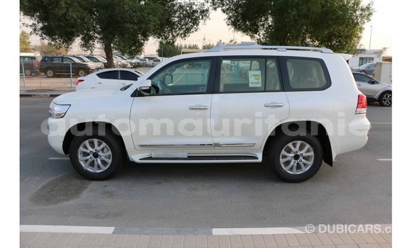Buy Import Toyota Land Cruiser White Car in Import - Dubai in Adrar Buy Import Toyota Land Cruiser White Car in Import - Dubai in Adrar