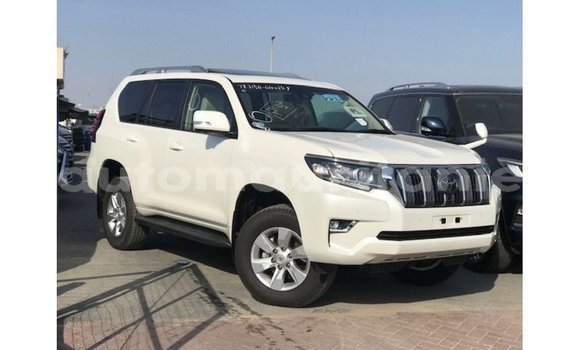 Acheter Import Voiture Toyota Prado Blanc à Import - Dubai, Adrar Acheter Import Voiture Toyota Prado Blanc à Import - Dubai, Adrar