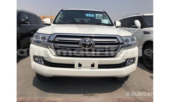 Acheter Import Voiture Toyota Land Cruiser Blanc à Import - Dubai, Adrar Acheter Import Voiture Toyota Land Cruiser Blanc à Import - Dubai, Adrar