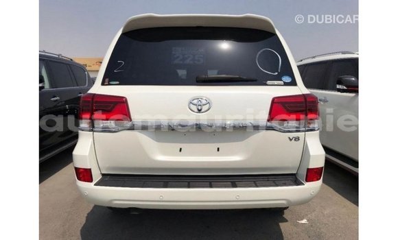 Acheter Import Voiture Toyota Land Cruiser Blanc à Import - Dubai, Adrar Acheter Import Voiture Toyota Land Cruiser Blanc à Import - Dubai, Adrar