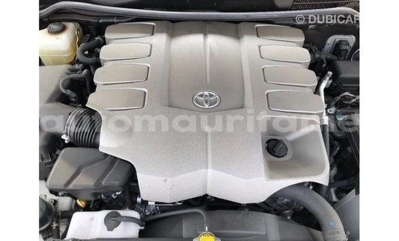 Acheter Import Voiture Toyota Land Cruiser Blanc à Import - Dubai, Adrar Acheter Import Voiture Toyota Land Cruiser Blanc à Import - Dubai, Adrar