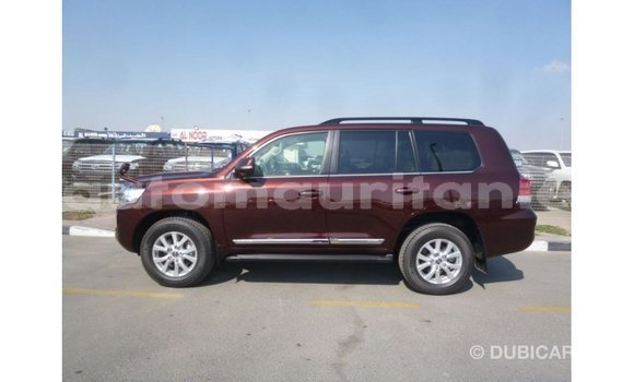 Acheter Import Voiture Toyota Land Cruiser Marron à Import - Dubai, Adrar Acheter Import Voiture Toyota Land Cruiser Marron à Import - Dubai, Adrar