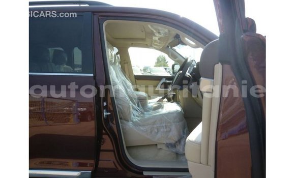 Acheter Import Voiture Toyota Land Cruiser Marron à Import - Dubai, Adrar Acheter Import Voiture Toyota Land Cruiser Marron à Import - Dubai, Adrar