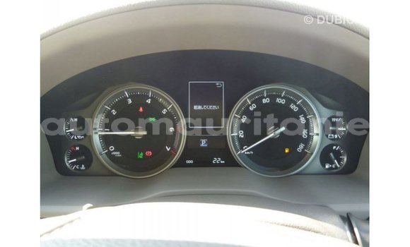 Acheter Import Voiture Toyota Land Cruiser Marron à Import - Dubai, Adrar Acheter Import Voiture Toyota Land Cruiser Marron à Import - Dubai, Adrar