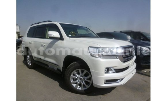 Acheter Import Voiture Toyota Land Cruiser Blanc à Import - Dubai, Adrar Acheter Import Voiture Toyota Land Cruiser Blanc à Import - Dubai, Adrar