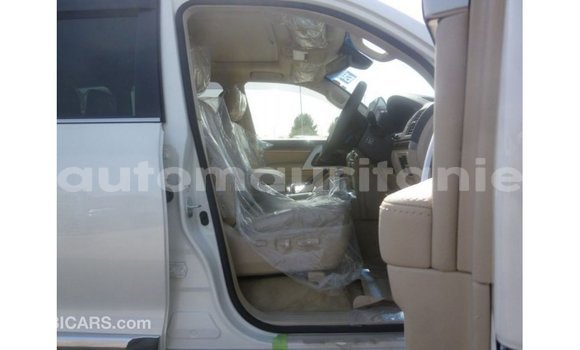 Acheter Import Voiture Toyota Land Cruiser Blanc à Import - Dubai, Adrar Acheter Import Voiture Toyota Land Cruiser Blanc à Import - Dubai, Adrar