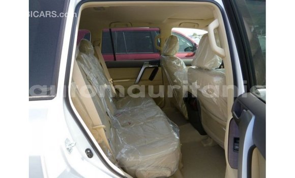 Acheter Import Voiture Toyota Prado Blanc à Import - Dubai, Adrar Acheter Import Voiture Toyota Prado Blanc à Import - Dubai, Adrar