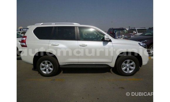 Acheter Import Voiture Toyota Prado Blanc à Import - Dubai, Adrar Acheter Import Voiture Toyota Prado Blanc à Import - Dubai, Adrar