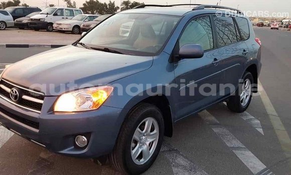 Buy Import Toyota RAV4 Blue Car in Import - Dubai in Adrar Buy Import Toyota RAV4 Blue Car in Import - Dubai in Adrar