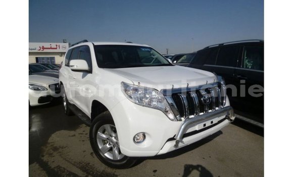 Acheter Import Voiture Toyota Prado Blanc à Import - Dubai, Adrar Acheter Import Voiture Toyota Prado Blanc à Import - Dubai, Adrar