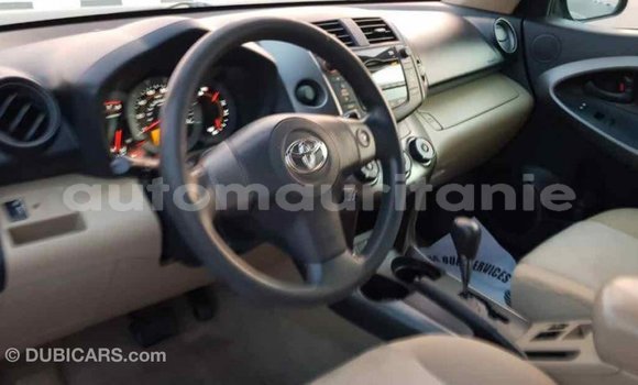 Buy Import Toyota RAV4 Blue Car in Import - Dubai in Adrar Buy Import Toyota RAV4 Blue Car in Import - Dubai in Adrar