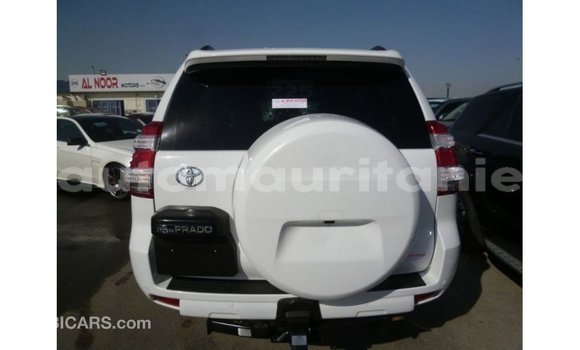 Acheter Import Voiture Toyota Prado Blanc à Import - Dubai, Adrar Acheter Import Voiture Toyota Prado Blanc à Import - Dubai, Adrar