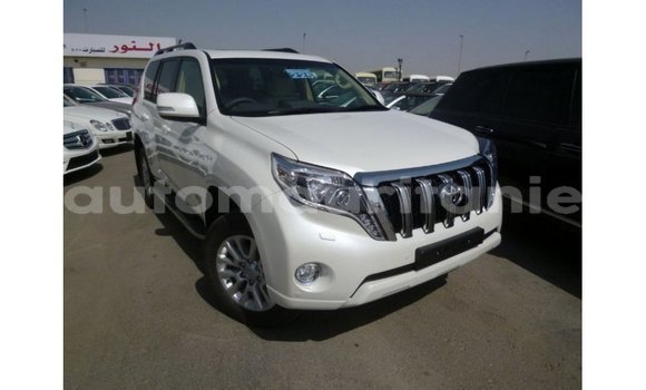 Acheter Import Voiture Toyota Prado Blanc à Import - Dubai, Adrar Acheter Import Voiture Toyota Prado Blanc à Import - Dubai, Adrar