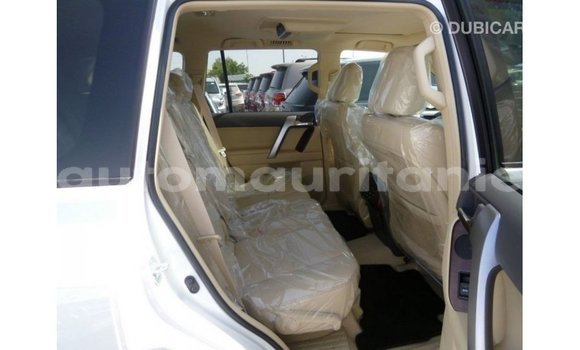 Acheter Import Voiture Toyota Prado Blanc à Import - Dubai, Adrar Acheter Import Voiture Toyota Prado Blanc à Import - Dubai, Adrar