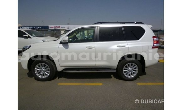 Acheter Import Voiture Toyota Prado Blanc à Import - Dubai, Adrar Acheter Import Voiture Toyota Prado Blanc à Import - Dubai, Adrar