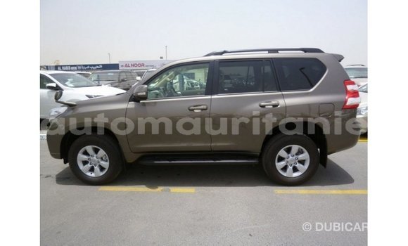 Acheter Import Voiture Toyota Prado Marron à Import - Dubai, Adrar Acheter Import Voiture Toyota Prado Marron à Import - Dubai, Adrar