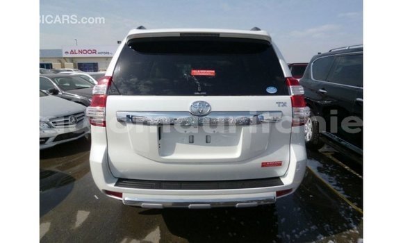 Acheter Import Voiture Toyota Prado Blanc à Import - Dubai, Adrar Acheter Import Voiture Toyota Prado Blanc à Import - Dubai, Adrar
