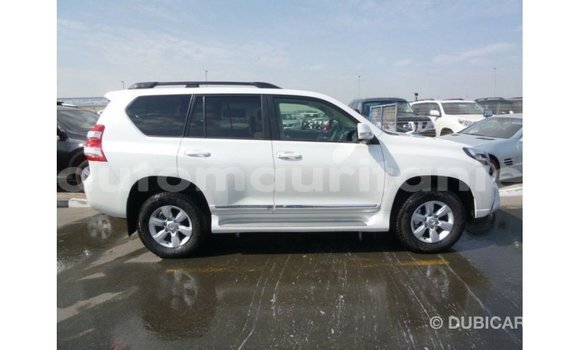 Acheter Import Voiture Toyota Prado Blanc à Import - Dubai, Adrar Acheter Import Voiture Toyota Prado Blanc à Import - Dubai, Adrar