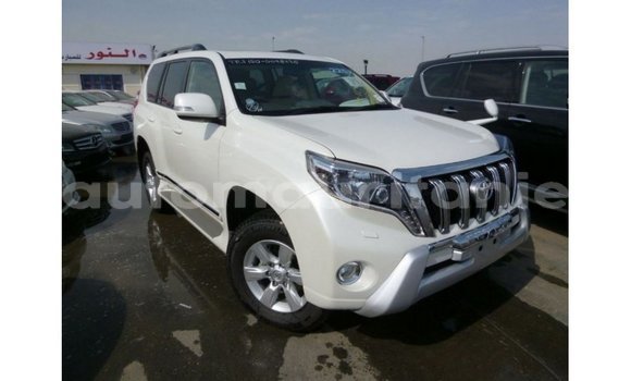 Acheter Import Voiture Toyota Prado Blanc à Import - Dubai, Adrar Acheter Import Voiture Toyota Prado Blanc à Import - Dubai, Adrar