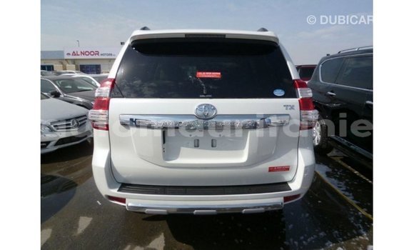 Acheter Import Voiture Toyota Prado Blanc à Import - Dubai, Adrar Acheter Import Voiture Toyota Prado Blanc à Import - Dubai, Adrar