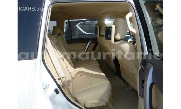 Acheter Import Voiture Toyota Prado Blanc à Import - Dubai, Adrar Acheter Import Voiture Toyota Prado Blanc à Import - Dubai, Adrar