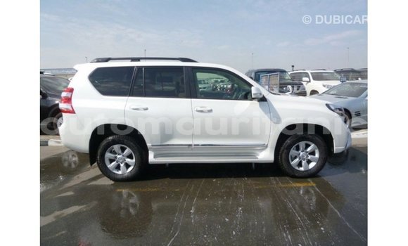 Acheter Import Voiture Toyota Prado Blanc à Import - Dubai, Adrar Acheter Import Voiture Toyota Prado Blanc à Import - Dubai, Adrar
