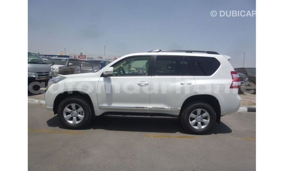 Acheter Import Voiture Toyota Prado Blanc à Import - Dubai, Adrar Acheter Import Voiture Toyota Prado Blanc à Import - Dubai, Adrar