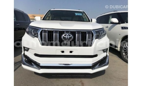 Acheter Import Voiture Toyota Prado Blanc à Import - Dubai, Adrar Acheter Import Voiture Toyota Prado Blanc à Import - Dubai, Adrar