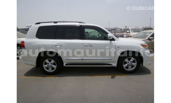 Acheter Import Voiture Toyota Land Cruiser Blanc à Import - Dubai, Adrar Acheter Import Voiture Toyota Land Cruiser Blanc à Import - Dubai, Adrar