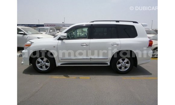 Acheter Import Voiture Toyota Land Cruiser Blanc à Import - Dubai, Adrar Acheter Import Voiture Toyota Land Cruiser Blanc à Import - Dubai, Adrar