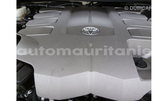 Acheter Import Voiture Toyota Land Cruiser Blanc à Import - Dubai, Adrar Acheter Import Voiture Toyota Land Cruiser Blanc à Import - Dubai, Adrar