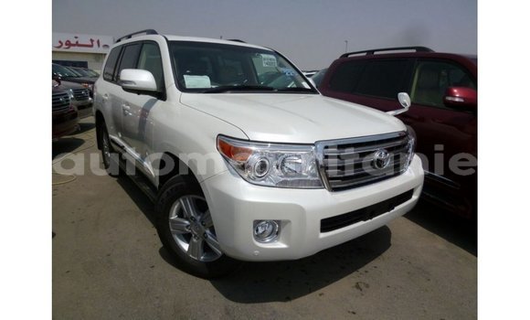 Acheter Import Voiture Toyota Land Cruiser Blanc à Import - Dubai, Adrar Acheter Import Voiture Toyota Land Cruiser Blanc à Import - Dubai, Adrar