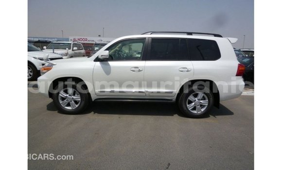 Acheter Import Voiture Toyota Land Cruiser Blanc à Import - Dubai, Adrar Acheter Import Voiture Toyota Land Cruiser Blanc à Import - Dubai, Adrar