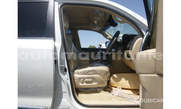 Acheter Import Voiture Toyota Land Cruiser Blanc à Import - Dubai, Adrar Acheter Import Voiture Toyota Land Cruiser Blanc à Import - Dubai, Adrar