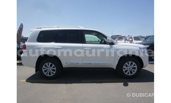 Acheter Import Voiture Toyota Land Cruiser Blanc à Import - Dubai, Adrar Acheter Import Voiture Toyota Land Cruiser Blanc à Import - Dubai, Adrar